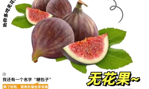 乳香精油的功效与作用及禁忌-乳香精油功效与作用点网 :分享乳香精油护肤品十大品牌吗-乳香精油的功效与用法知识